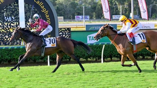 Lubrication too slick for his rivals in The Archer