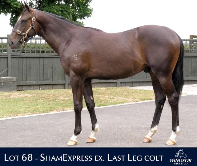 Karaka Day 1 wrap up