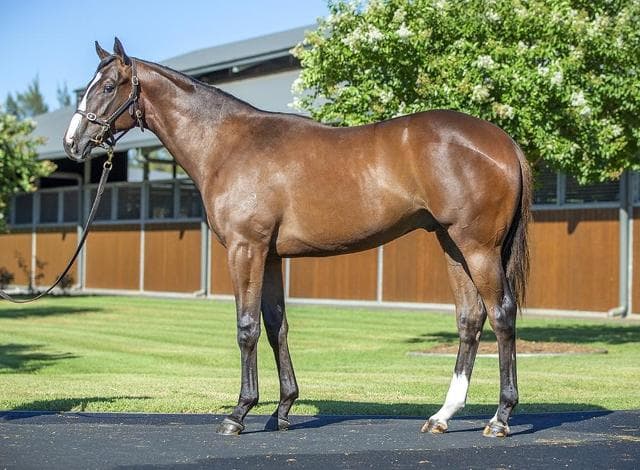 Magic Millions 2025 wrap up day 4