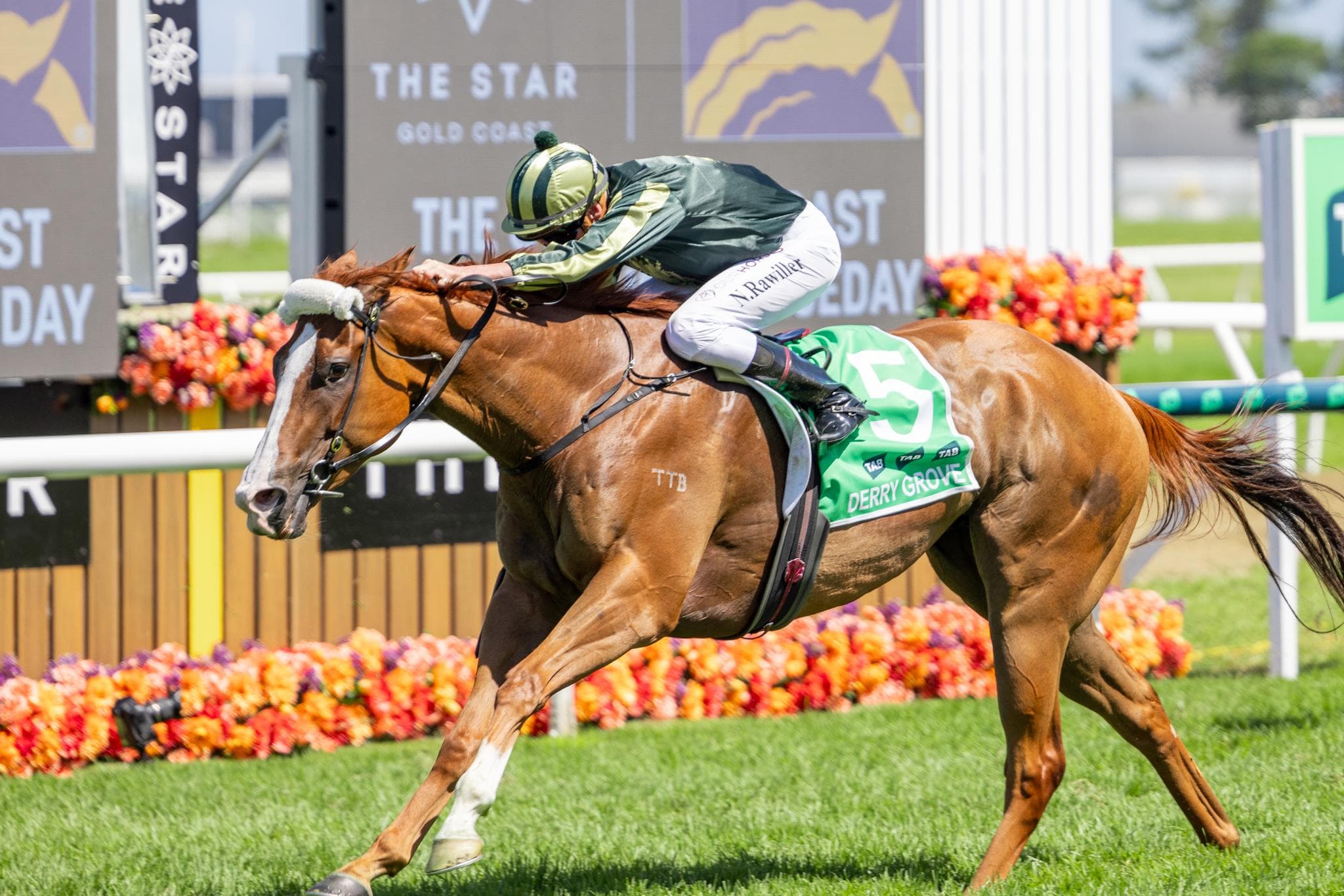 Picture of the author