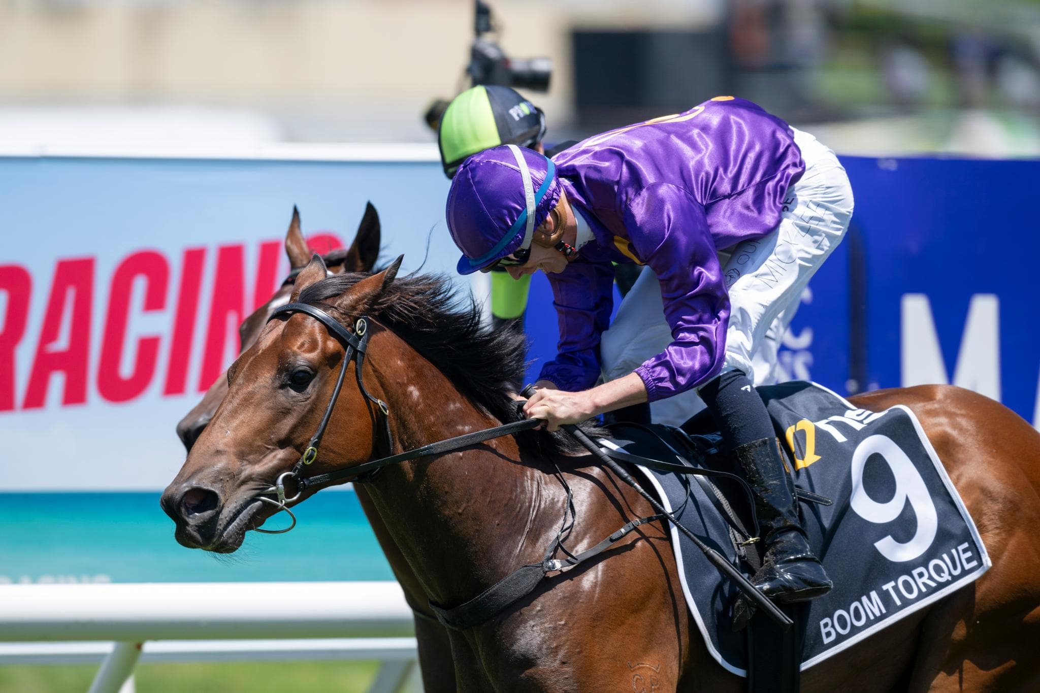 Picture of the author